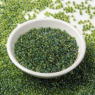 MIYUKI Round Rocailles Beads X-SEED-G008-RR0341-1