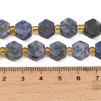 Natural Blue Spot Jasper Beads Strands G-F833-B16-01-1