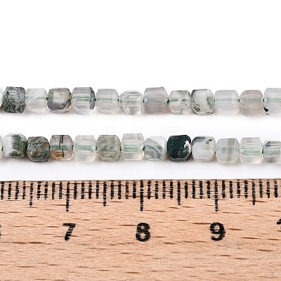 Natural Moss Agate Beads Strands G-T138-211K-1