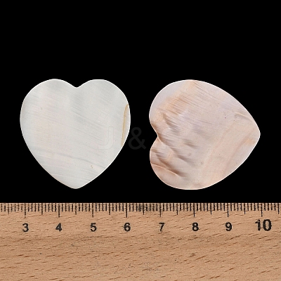 Natural Freshwater Shell Cabochons SHEL-C010-10B-1