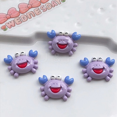 Summer Beach Opaque Resin Cabochons FIND-SX0001-053-1