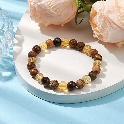 8mm Round Natural Tiger Eye & Picture Jasper BJEW-JB10625-03-1