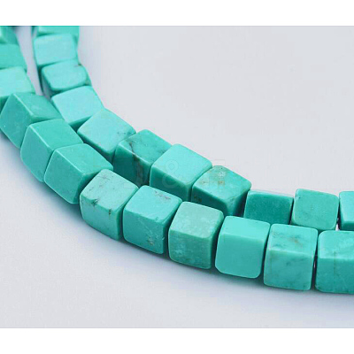 Natural Magnesite Beads Strands TURQ-K003-24-1