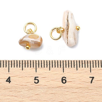Natural Freshwater Shell Pendants PALLOY-JF05874-02-1