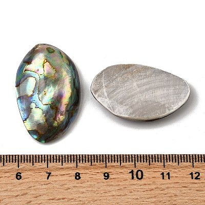 Natural Paua Shell Cabochons SSHEL-S280-01B-1