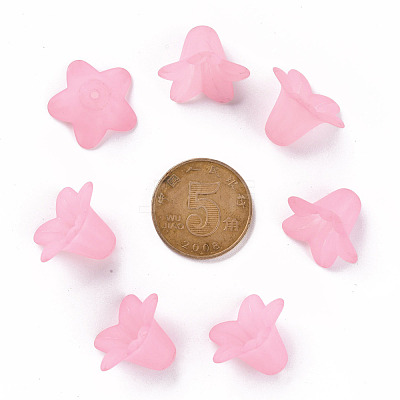 Transparent Acrylic Beads PLF018-02-1
