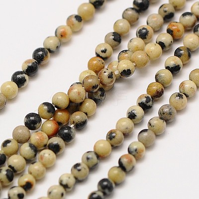 Natural Gemstone Dalmatian Jasper Round Beads Strands G-A130-3mm-20-1