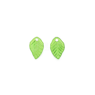Transparent Acrylic Charms X-TACR-T012-04-1