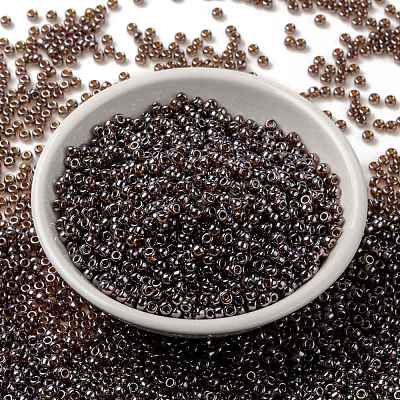 MIYUKI Round Rocailles Beads X-SEED-G008-RR0327-1
