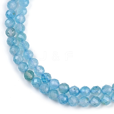 Natural Blue Topaz Beads Strands LS-G-F782-B07-05-1
