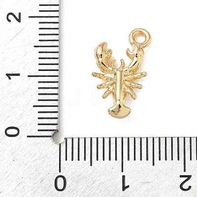 Alloy Pendants FIND-Z101-04G-01-1