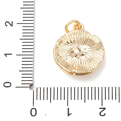 Brass & Natural Tiger Eye Pendants KK-A279-12G-1