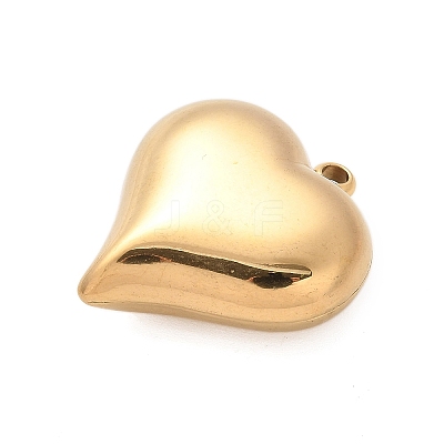 304 Stainless Steel Pendants STAS-Q349-02E-G-1