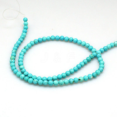 Natural Magnesite Beads Strands TURQ-P027-69-4mm-1