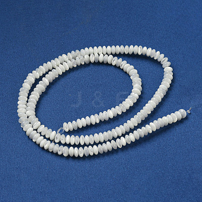 Natural Trochus Shell Beads Strands SSHEL-H072-11-1
