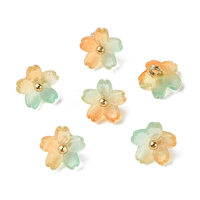 Alloy Acrylic Pendants TACR-P016-01G-10-1