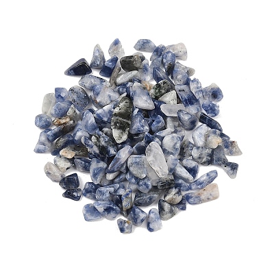 Natural Blue Spot Jasper Beads G-K397-02-1