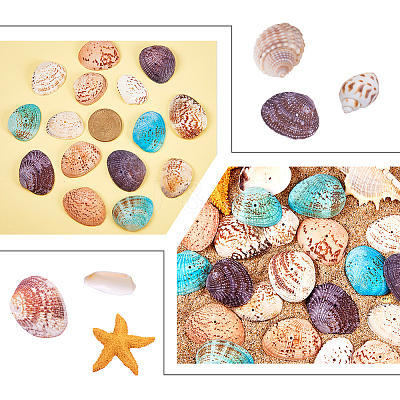 Dyed Natural Shell Beads BSHE-PH0003-02-1