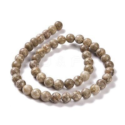 Natural Maifanite/Maifan Stone Beads Strands G-I187-6mm-01-1