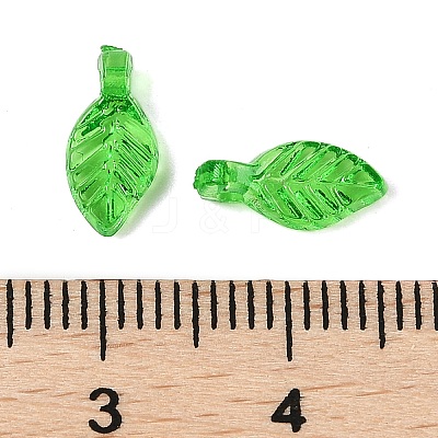 Transparent Acrylic Charms TACR-F009-11E-1