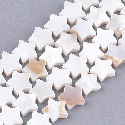 Natural Freshwater Shell Beads Strands X-SHEL-Q021-07-1