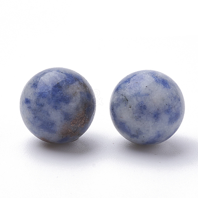 Natural Blue Spot Jasper Beads G-S289-15-10mm-1