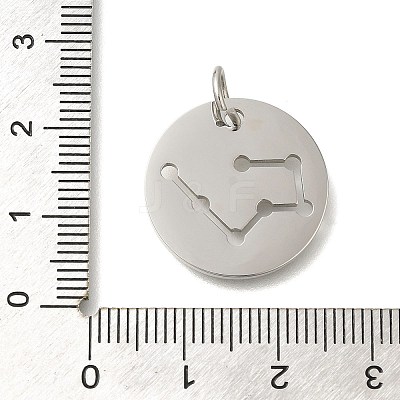 Anti-Tarnish 304 Stainless Steel Pendants STAS-M074-02D-P-1