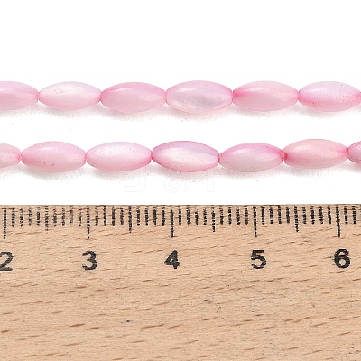 Natural Freshwater Shell Beads Strands X-SHEL-C010-01E-1