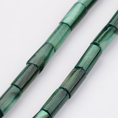 Natural Shell Bead Strands BSHE-P016-13-1