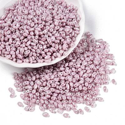 Opaque Colours Luster Glass Seed Beads SEED-T006-02E-1