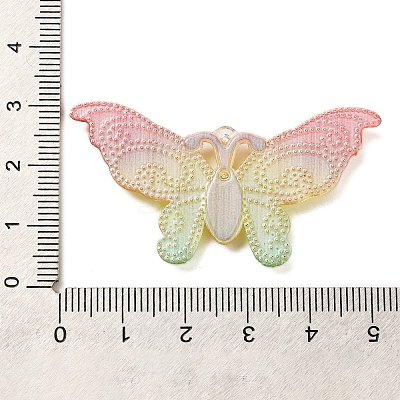 Gradient Color Resin Pendants RESI-Q012-03D-1