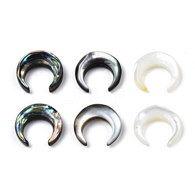 Natural Shell Bead sets SSHEL-N034-122B-1