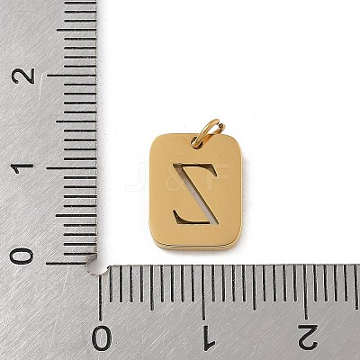 304 Stainless Steel Charms LS-STAS-R001-01G-Z-1