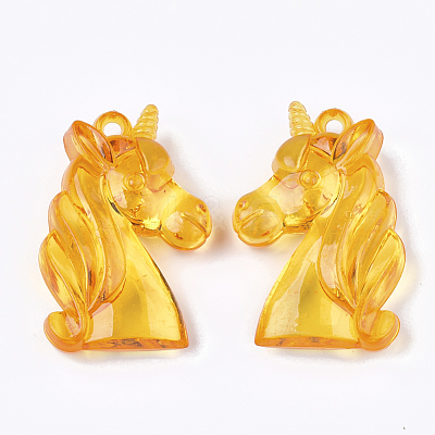 Transparent Acrylic Pendants TACR-S133-100-1