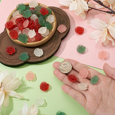60Pcs 4 Colors Frosted Trabsparent Resin Cabochons RESI-TA0005-09-1