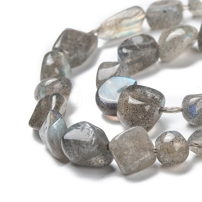 Natural Labradorite Beads Strands G-G018-24-1