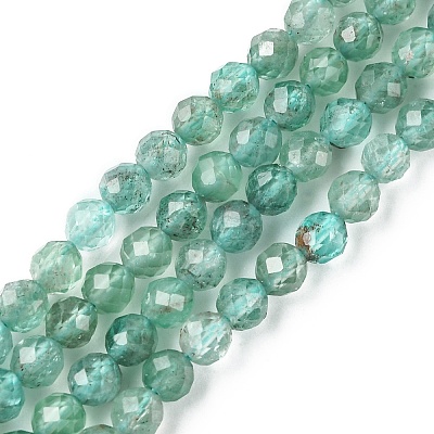 Natural Apatite Beads Strands G-F748-J01-02-1
