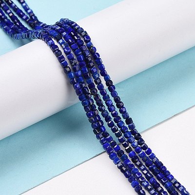 Natural Lapis Lazuli Beads Strands G-C009-B08-1