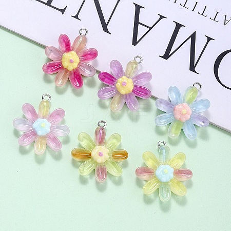Transparent Resin Pendants RESI-A046-05C-1