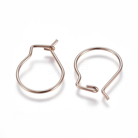 304 Stainless Steel Earring Findings LS-STAS-E484-65RG-1