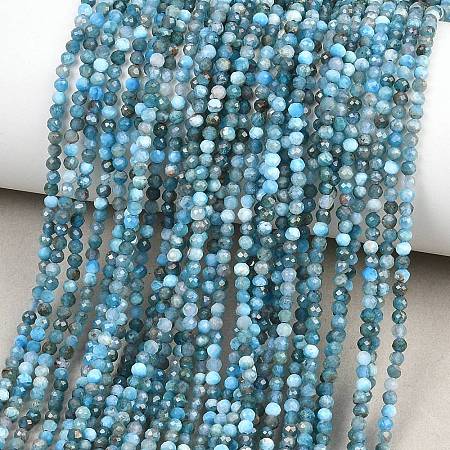 Natural Apatite Beads Strands G-RM250104-A2-1
