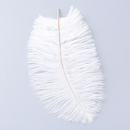 Ostrich Feather Costume Accessories FIND-R036-C-16-1