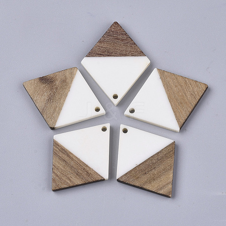 Resin & Walnut Wood Pendants RESI-Q210-009A-A02-1