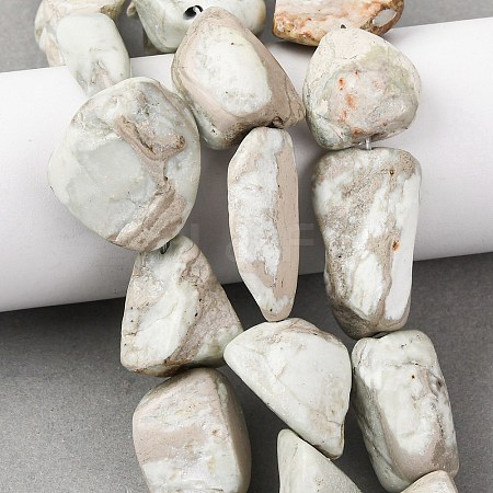 Natural Variscite Beads Strands G-D098-C09-1