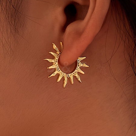 Brass Hoop Earrings EJEW-Z143-01G-1