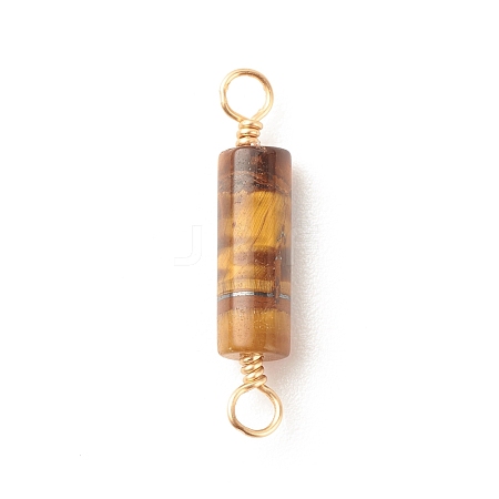 Natural Tiger Eye Connector Charms PALLOY-JF01565-03-1