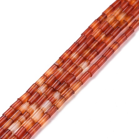 Natural Red Agate Beads Strands G-M389-01-1