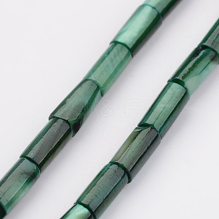 Natural Shell Bead Strands BSHE-P016-13-1