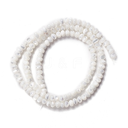 Natural Trochid Shell/Trochus Shell Beads Strands SSHEL-O001-24B-02-1