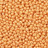 6/0 Glass Seed Beads SEED-L011-08A-19-3